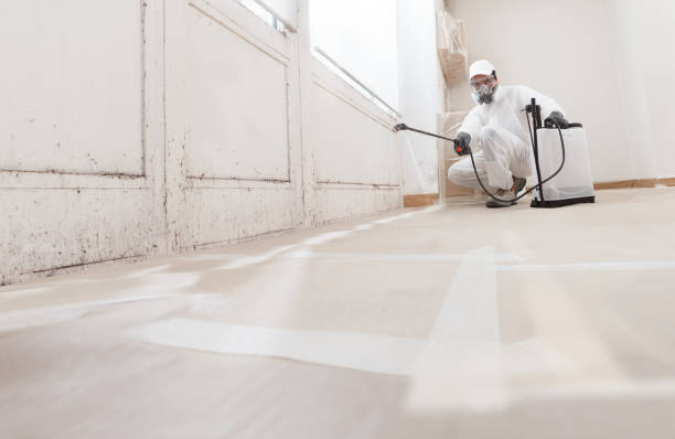 24/7 Emergency Mold Testing experts in Riverdale, IL